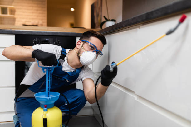 Best Exterminator Services  in Elgin, OK