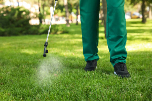Best Pest Control Near Me  in Elgin, OK