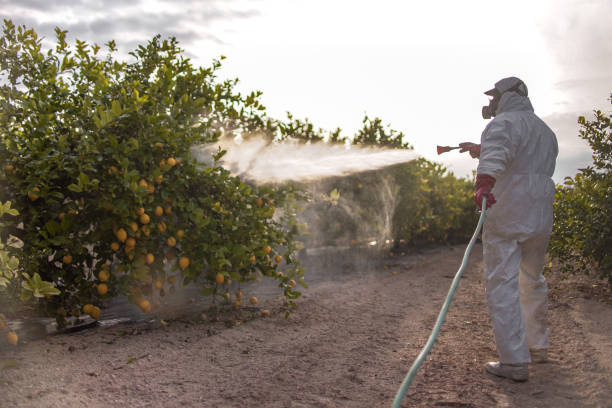 Best Cockroach Control Services  in Elgin, OK