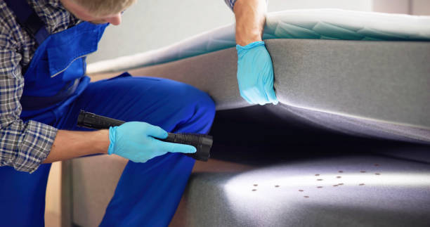 Best Mosquito Control Services  in Elgin, OK