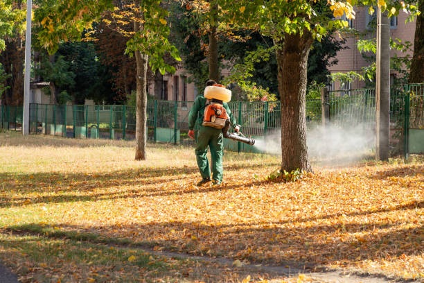 Best Residential Pest Control  in Elgin, OK