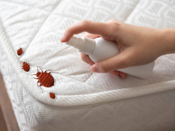 Professional Pest Control in Elgin, OK