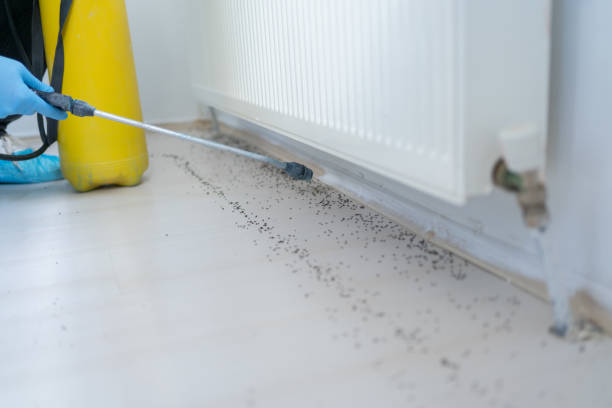 Best Pest Prevention Services  in Elgin, OK
